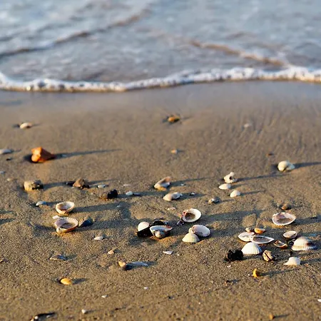 Апартаменти In 40088 Бібіоне