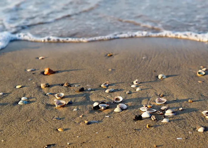 Apartmán In 40088 Bibione